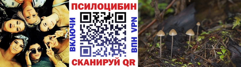 Псилоцибиновые грибы мухоморы  Обнинск 