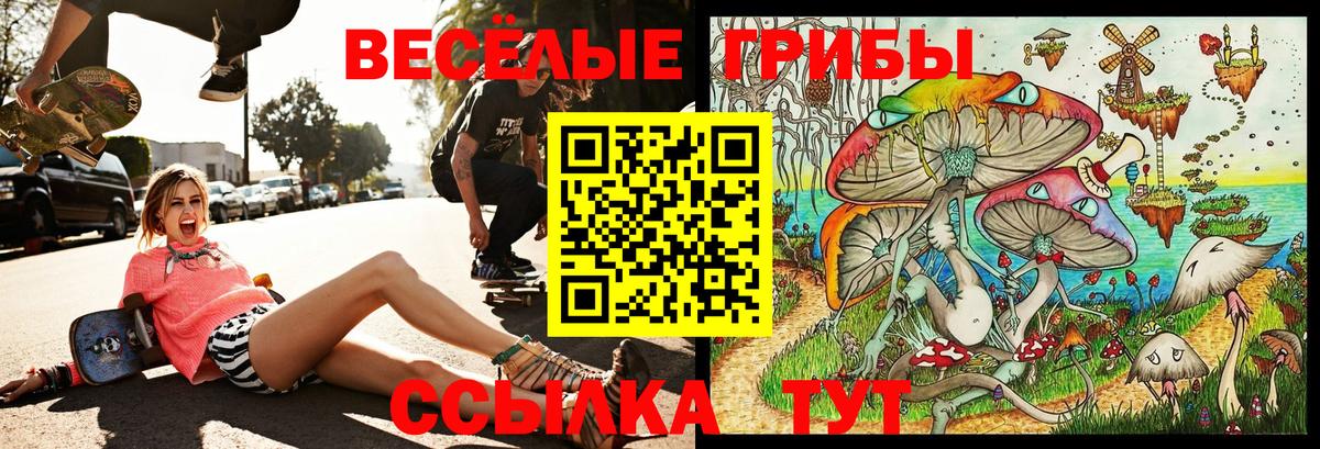 Обнинск  Псилоцибиновые грибы ЛСД  Галлюциногенные грибы ЛСД  Вход с VPN 